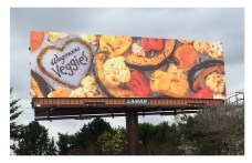 Veggie Billbaords3